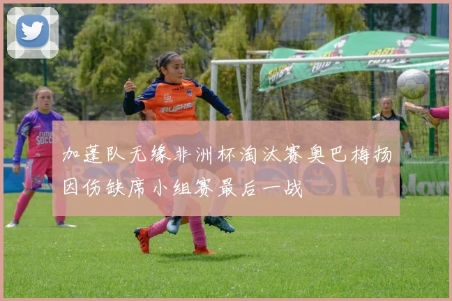 加蓬队无缘非洲杯淘汰赛奥巴梅扬因伤缺席小组赛最后一战