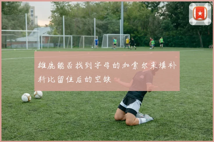 雄鹿能否找到字母的加索尔来填补科比留住后的空缺