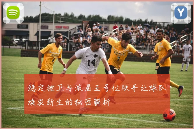 稳定控卫与浓眉五号位联手让球队焕发新生的秘密解析