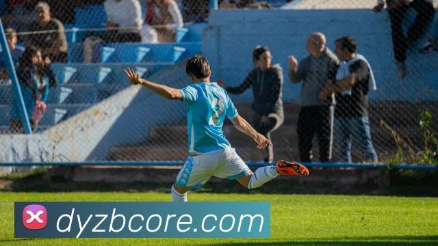 斗鱼直播平台生态图